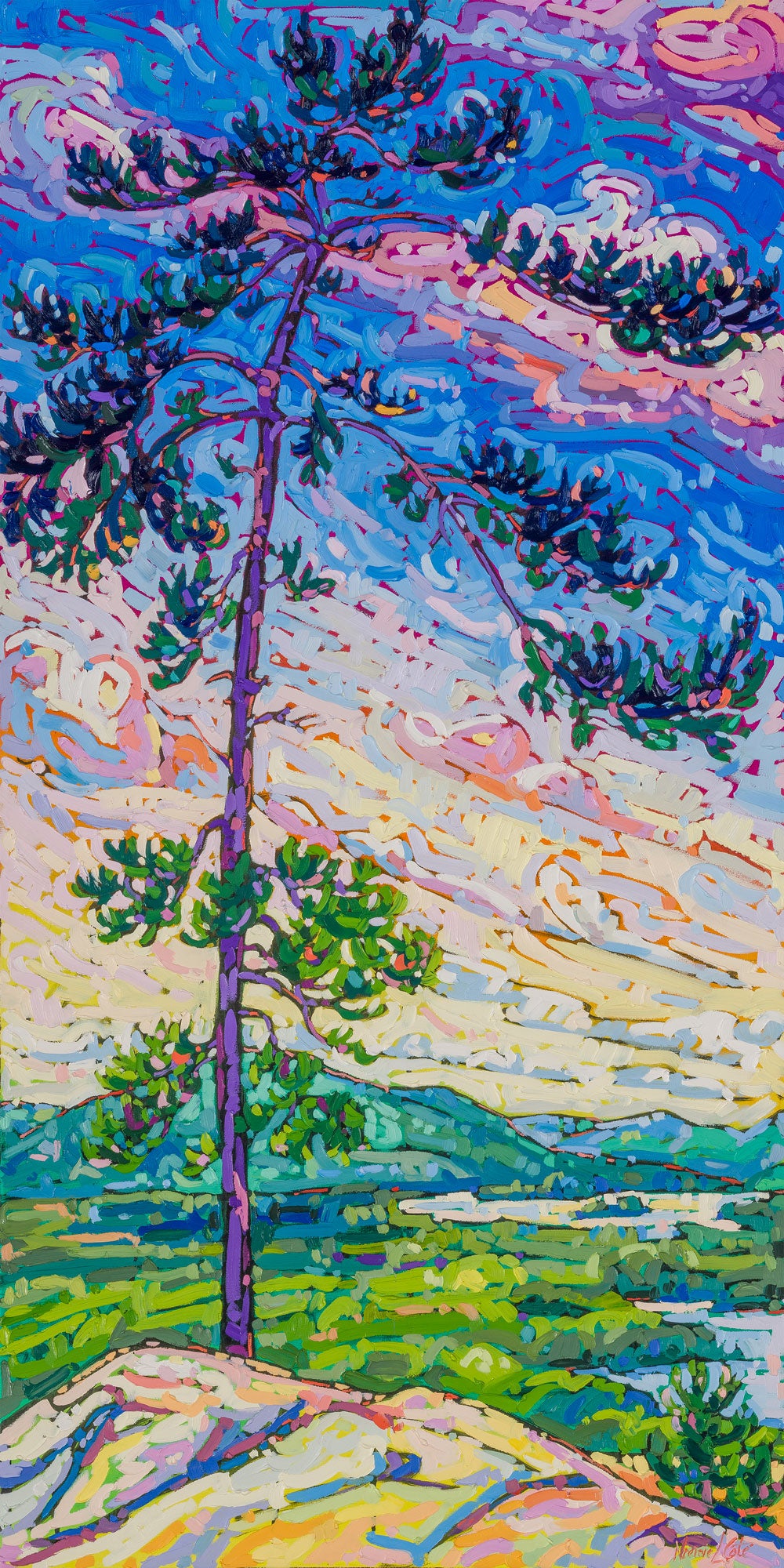 Soft Pine