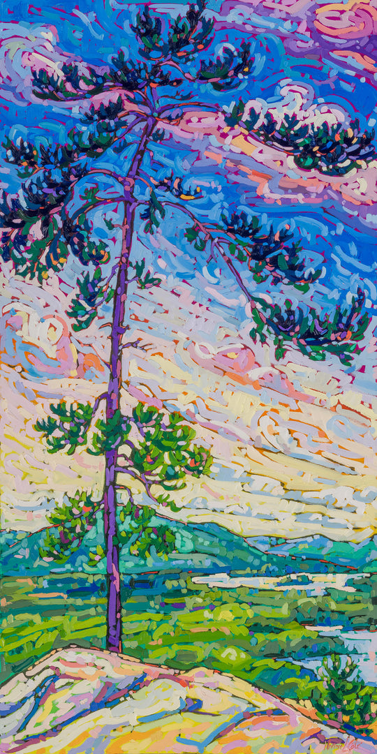 Soft Pine